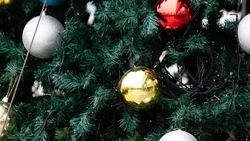 Праздничная программа для жителей Кочубеевского округа стартует с 4 января