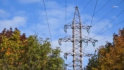 Более 20 линий электропередачи заменят в ставропольском селе