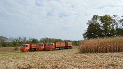На Ставрополье полным ходом идёт подготовка к весенним работам в полях