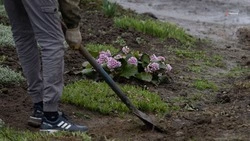 Программу по благоустройству дворов у домов ветеранов разработают на Ставрополье