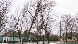В Кочубеевском округе Ставрополья построят три спортивные площадки в 2022 году 