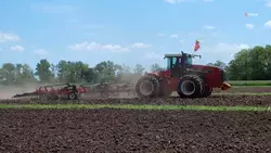 Более 40 процентов полей в Кочубеевском округе засеют отечественной кукурузой