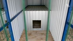 Бродячих собак отлавливают в Кочубеевском округе