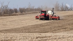 Свыше 7,4 единиц сельскохозяйственной техники отремонтировали на Ставрополье 
