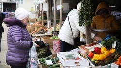 Ставропольские ярмарки организуют в едином стиле