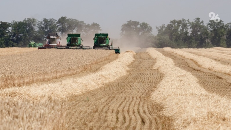 В Кочубеевском округе завершили уборку ячменя и гороха