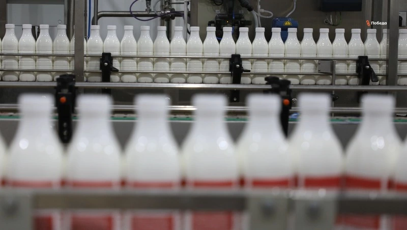 Более 50 тыс. тонн молочной продукции произвели на Ставрополье