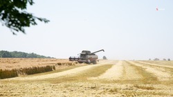 Свыше 7 млн тонн зерна собрали на Ставрополье