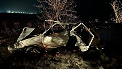 Водитель и подросток пострадали в аварии в Кочубеевском округе