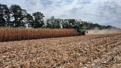 Аграрии Ставрополья перевыполнили план по заготовке кормов для зимовки скота