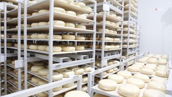 На Ставрополье производят аналоги импортных сыров и напитков