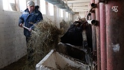 Аграрии Ставрополья смогут подать заявки на льготные кредиты 