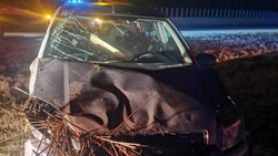 Пассажирка иномарки получила серьёзные травмы в ДТП В Кочубеевском округе