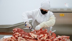 Экспорт мяса птицы из Ставрополья вырос на 4 процента 