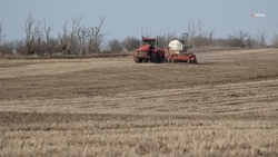Сев ранних яровых стартовал на Ставрополье