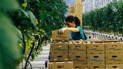 Ставрополье планирует расширять сотрудничество с Белоруссией