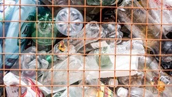 По госпрограмме закупят дополнительно 94 контейнера для раздельного сбора мусора