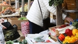 Ярмарочных площадок на Ставрополье стало больше на 12%