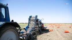 Топливо для проведения полевых работ выделят аграриям Ставрополья