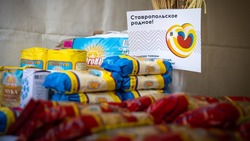 Всесезонные ярмарки будут развивать на Ставрополье по поручению губернатора