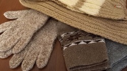 Тепло родного дома: ставропольцы вяжут шарфы и носки для военнослужащих
