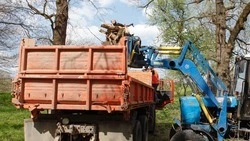 Традиционная экологическая акция стартует на Ставрополье