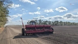 Сельхозпроизводители засеют более 40 тыс. га в Кочубеевском округе