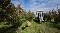 Четыре новые меры поддержки аграриев запустили на Ставрополье в 2025 году