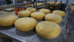 Производство пищевой продукции выросло на Ставрополье на 12%