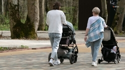 Новые меры поддержки семей с детьми начнут действовать на Ставрополье в 2025 году 