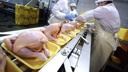 Ставропольский край увеличил экспорт мяса птицы в Грузию в пять раз