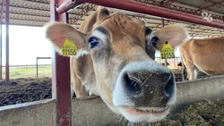 26 предприятий отобрали на конкурсе «Ставропольское качество»