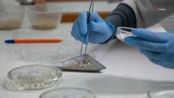 Ставрополье подключится к программе «Агропрофессионалитет»