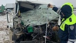 Микроавтобус столкнулся с трактором в Кочубеевском округе