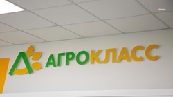 Девять агроклассов откроют в Кочубеевском округе