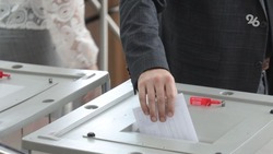 Более половины россиян осведомлены о предстоящих президентских выборах — исследование