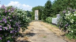 В станице Каменнобродской продолжается обустройство зоны отдыха