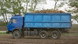 270 тыс. тонн сахарной свёклы собрали на Ставрополье