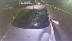 Велосипедист погиб в аварии в Кочубеевском округе