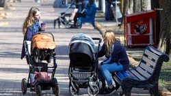 Более 120 тысяч родителей на Ставрополье с 1 мая смогут претендовать на новые президентские выплаты