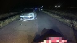 Женщина погибла под колёсами автомобиля в Кочубеевском округе