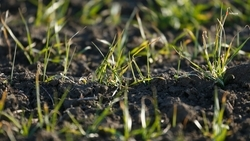 Более 1 млрд рублей господдержки получит мелиоративный комплекс Ставрополья 