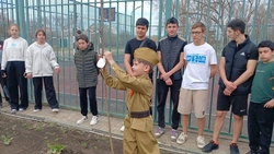 Шесть тополей высадили в Кочубеевском округе в честь погибших на СВО земляков