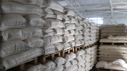 Ставрополье намерено перейти на отечественные семена кукурузы