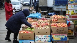 Краевую акцию «Овощи к подъезду» продлят на Ставрополье в 2024 году