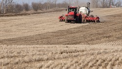 Агрострахованием охватили около трети ставропольских полей