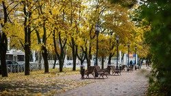 На Ставрополье появится более 30 новых благоустроенных площадок