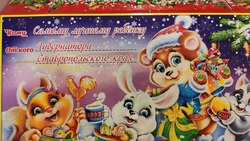 Более 140 тыс. школьников Ставрополья получили губернаторские подарки