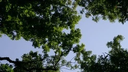 Лесные пожарные на Ставрополье получили камеры с дальностью обнаружения до 40 км