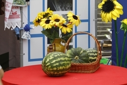 Роспотребнадзор предупредил ставропольцев о рисках пищевого отравления от некачественных арбузов